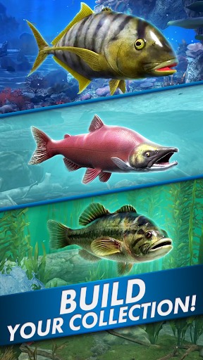 Fishing Blitz! - Tangkapan Layar 6